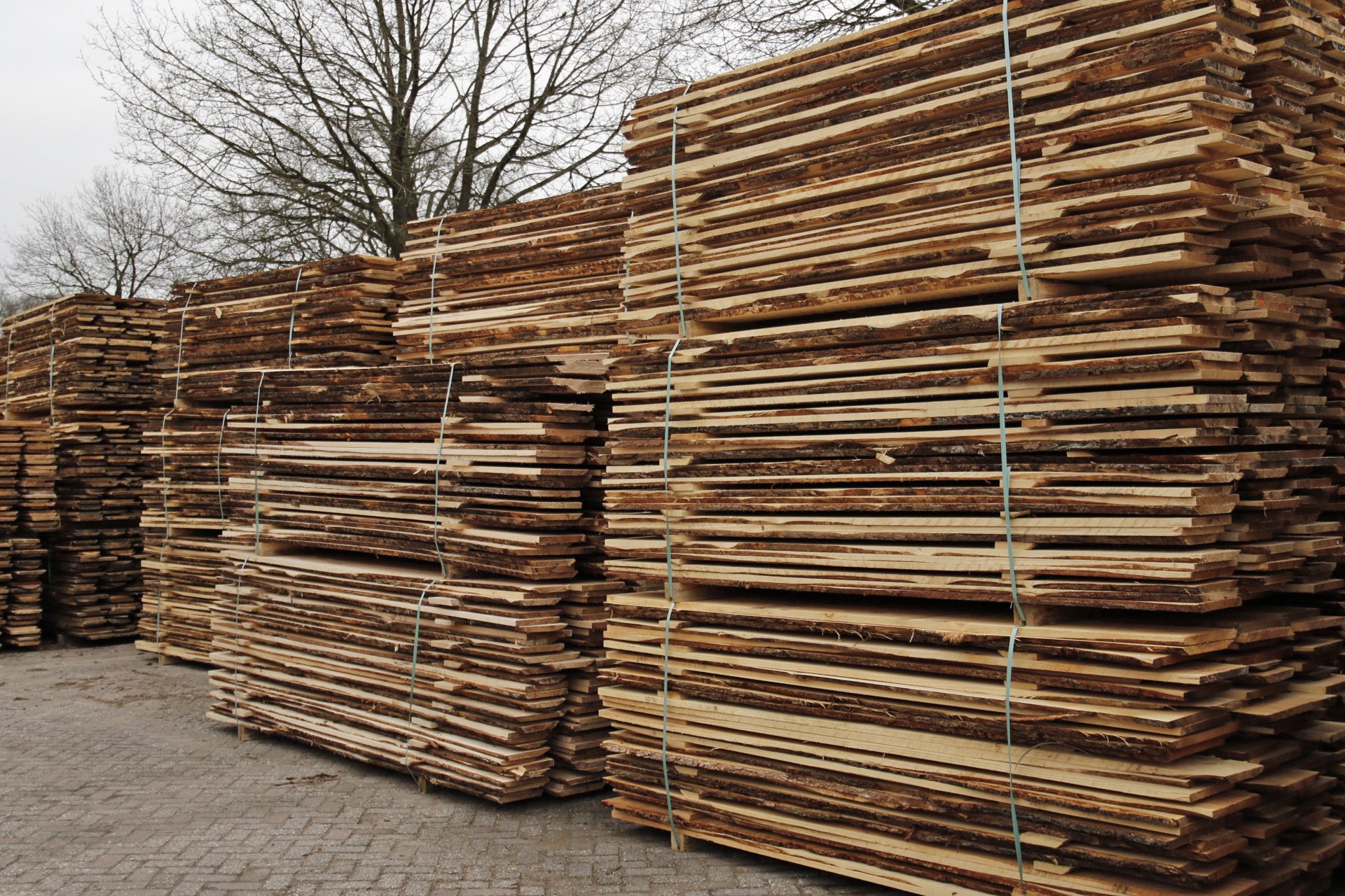 Odoo- Echantillon n° 3 pour trois colonnes