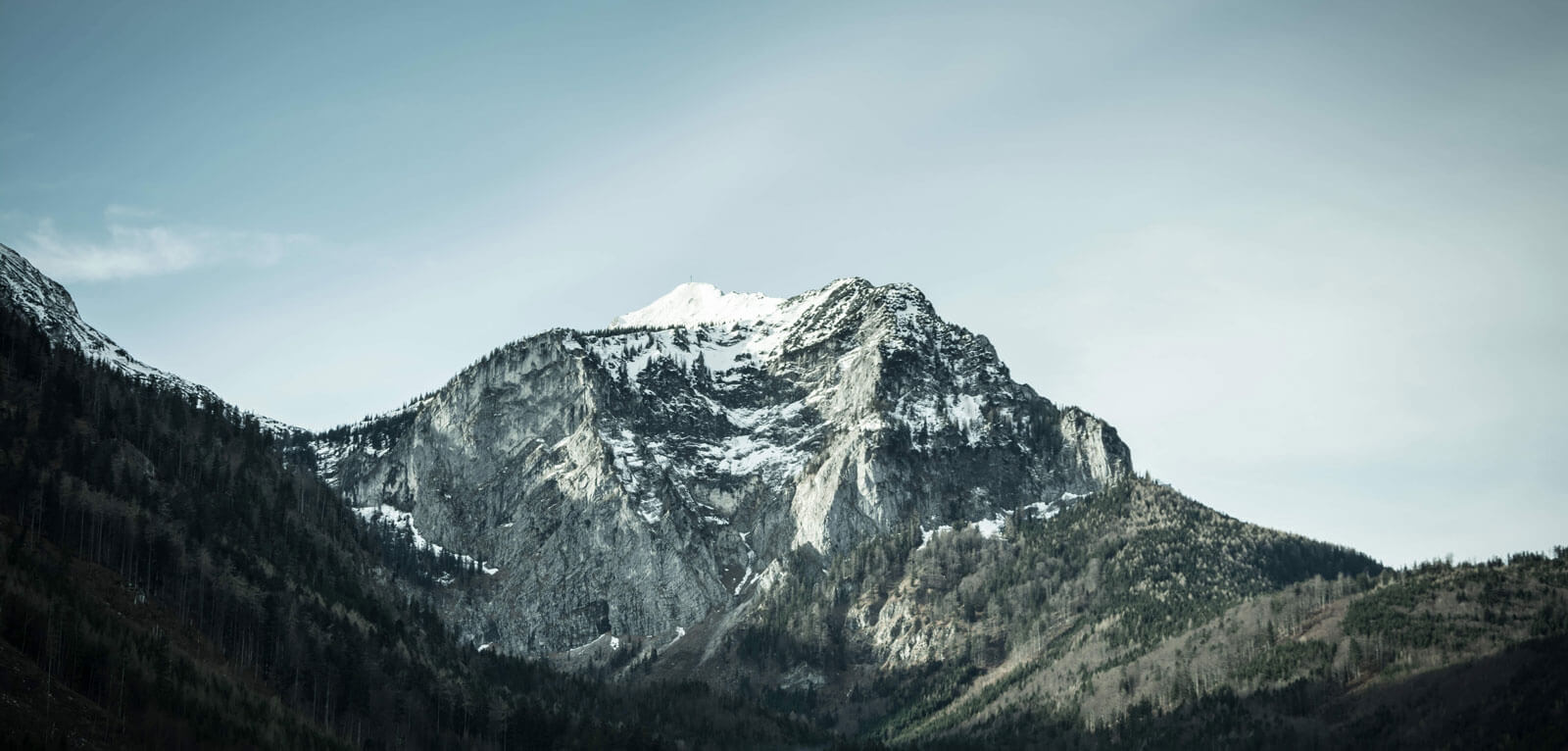 Odoo CMS - une grande photo